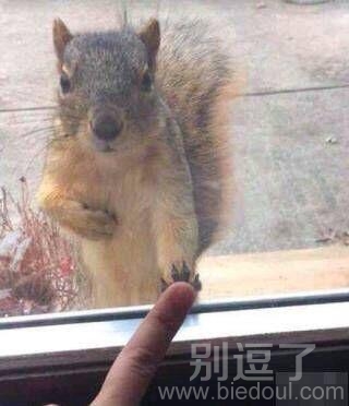 来击个掌吧...