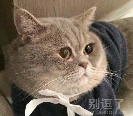 那货是谁 那货是谁