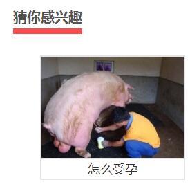 怎么受孕的广告图片 怎么受孕的广告图片