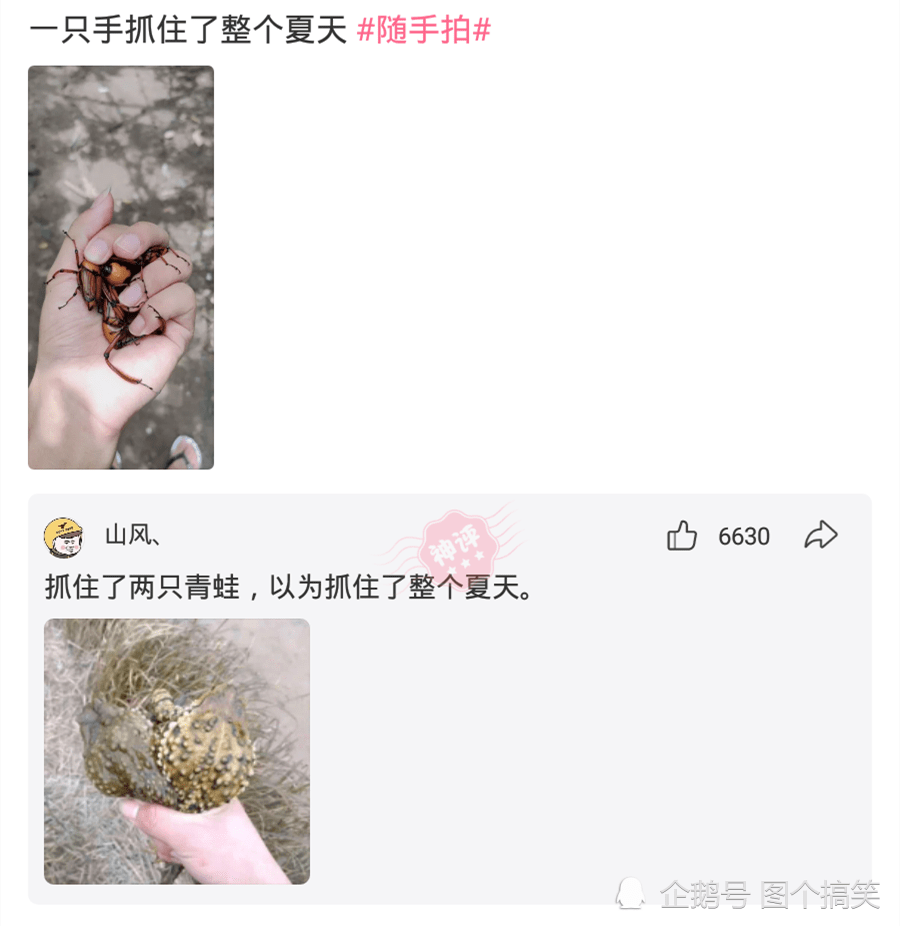 神评论:如果给你300一天,天天在工地上玩手机,你能玩多久? 神评论:如果给你300一天,天天在工地上玩手机,你能玩多久?
