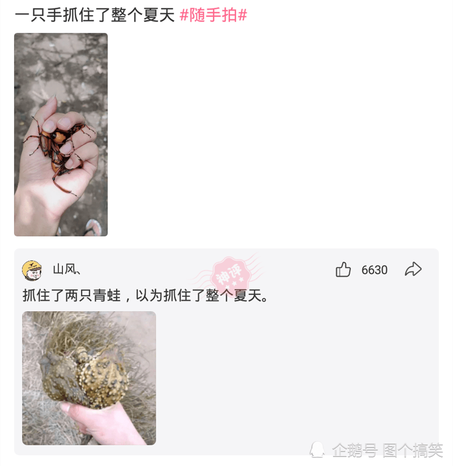 神评论：如果给你300一天，天天在工地上玩手机，你能玩多久？