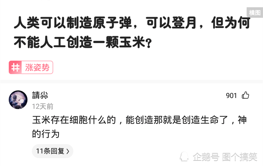 神评论:如果给你300一天,天天在工地上玩手机,你能玩多久? 神评论:如果给你300一天,天天在工地上玩手机,你能玩多久?