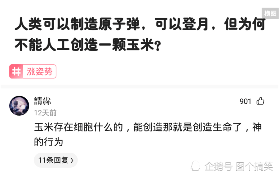 神评论：如果给你300一天，天天在工地上玩手机，你能玩多久？