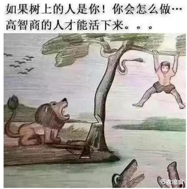 “吃完了半盘才发现这居然是12块一颗,不知道现在跑来得及吗?”哈哈哈 “吃完了半盘才发现这居然是12块一颗,不知道现在跑来得及吗?”哈哈哈