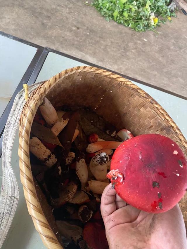 媳妇儿给我发了一张玉米的图片儿,就把我给删了,这不是玉米吗 媳妇儿给我发了一张玉米的图片儿,就把我给删了,这不是玉米吗