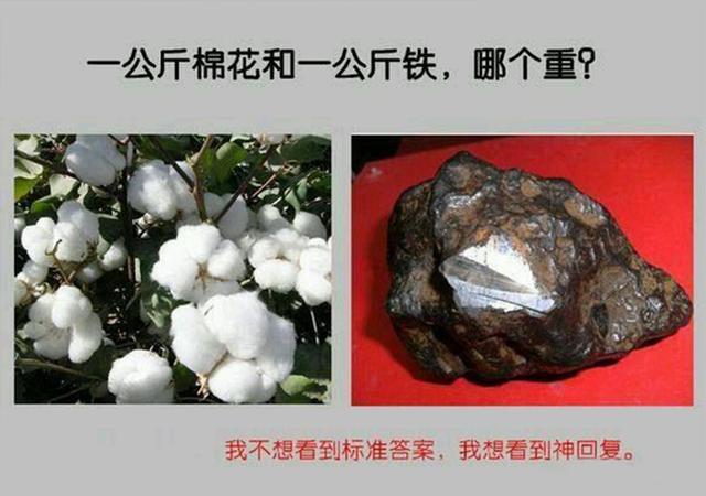 媳妇儿给我发了一张玉米的图片儿,就把我给删了,这不是玉米吗 媳妇儿给我发了一张玉米的图片儿,就把我给删了,这不是玉米吗