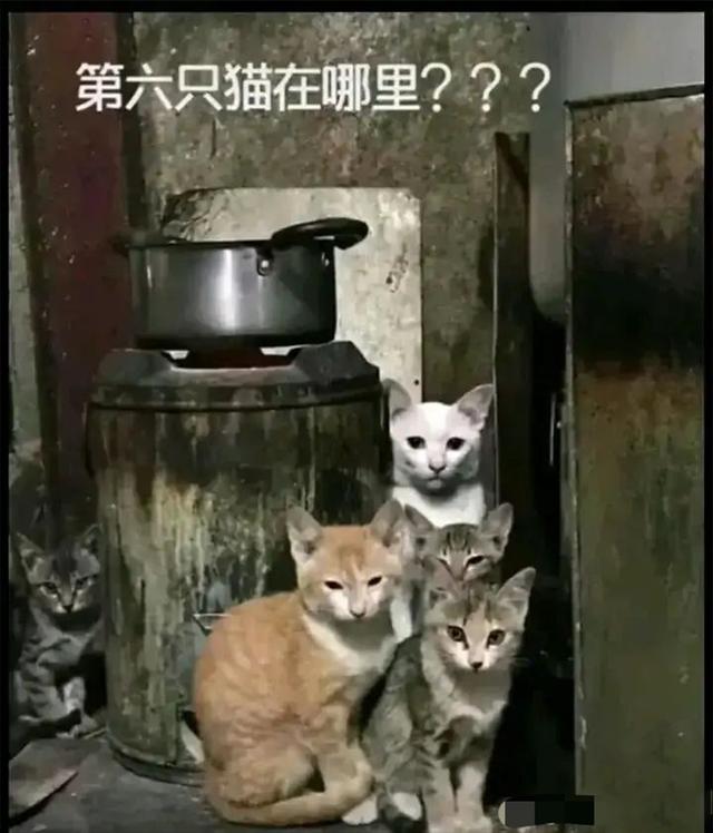 媳妇儿给我发了一张玉米的图片儿,就把我给删了,这不是玉米吗 媳妇儿给我发了一张玉米的图片儿,就把我给删了,这不是玉米吗