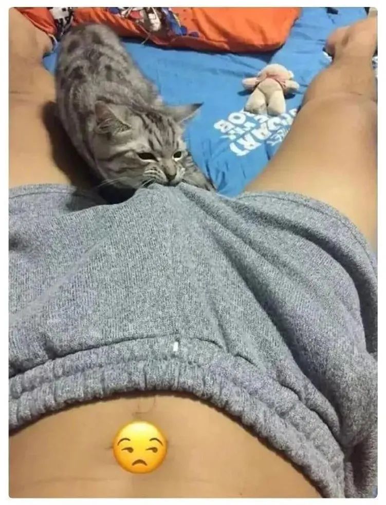 “我男友那个部位不小心被咬肿了!”妹子深夜哭诉,我却从她的语气里听出了快乐... “我男友那个部位不小心被咬肿了!”妹子深夜哭诉,我却从她的语气里听出了快乐...