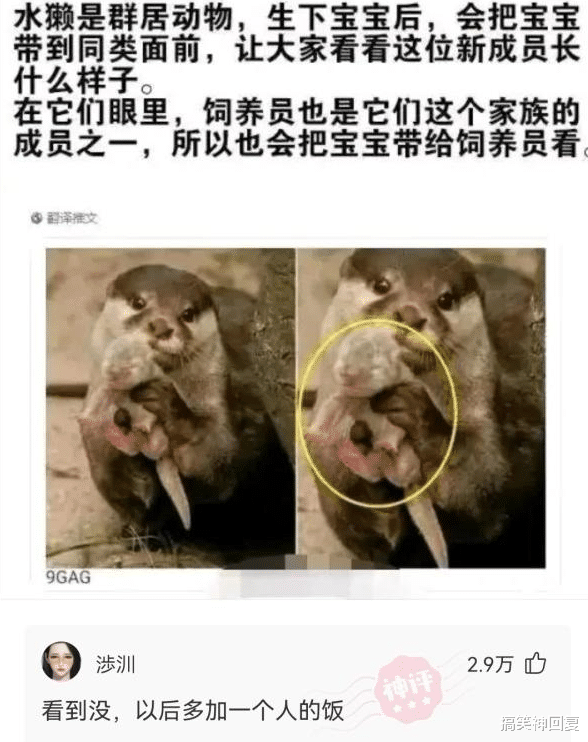 神回复:假如我喝一口百草枯 ,然后再吃一口草,百草枯是先杀草还是先杀我? 神回复:假如我喝一口百草枯 ,然后再吃一口草,百草枯是先杀草还是先杀我?