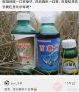 神回复：假如我喝一口百草枯 ，然后再吃一口草，百草枯是先杀草还是先杀我？