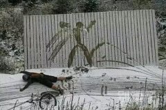 这个运动轨迹清晰明了啊