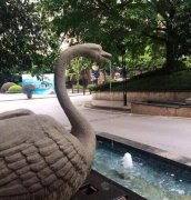 太有内涵了,亮点图 太有内涵了,亮点图