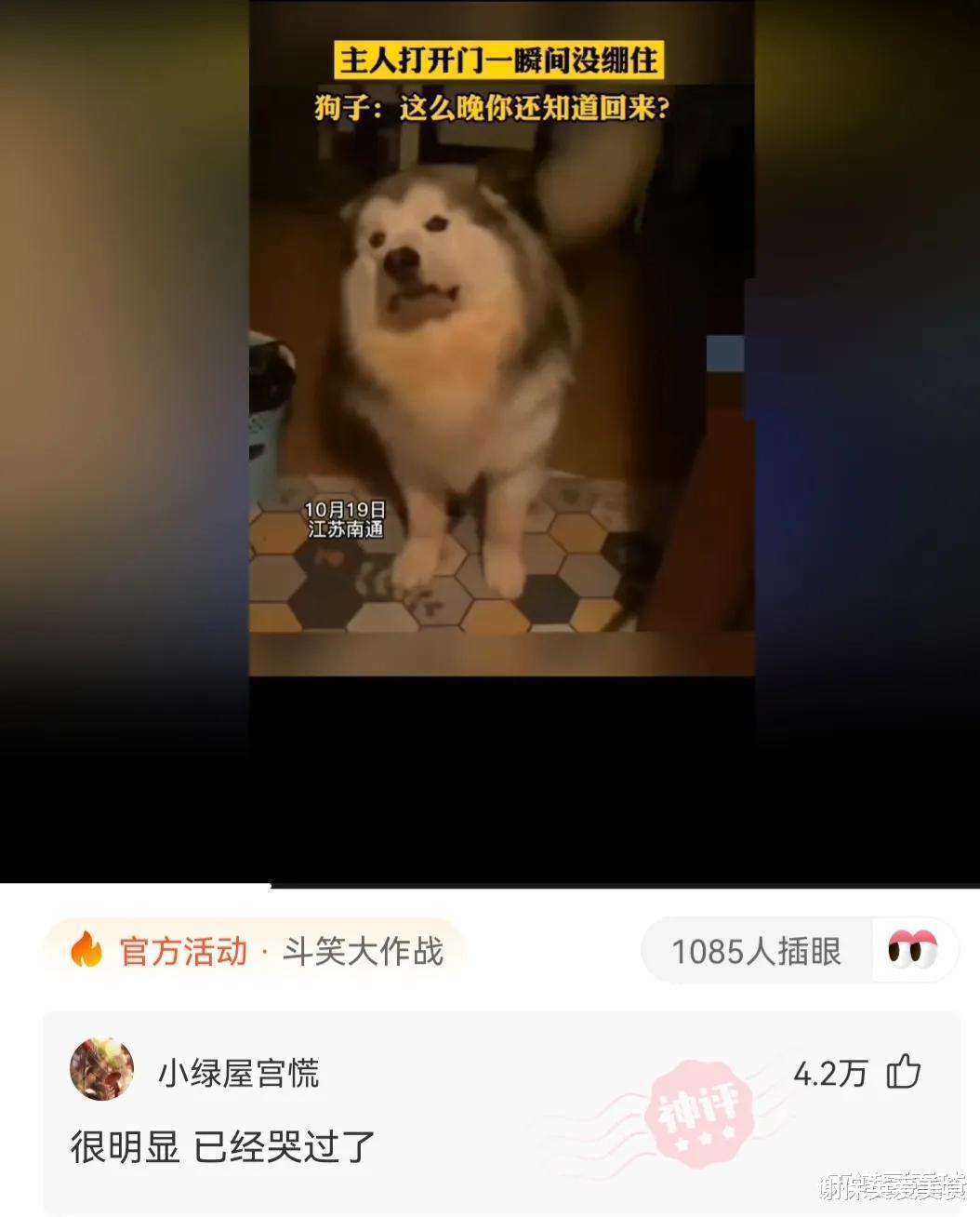 “清洁阿姨把手办碰倒后接了回去,这画风,原谅我笑了!”哇哈哈哈哈 “清洁阿姨把手办碰倒后接了回去,这画风,原谅我笑了!”哇哈哈哈哈