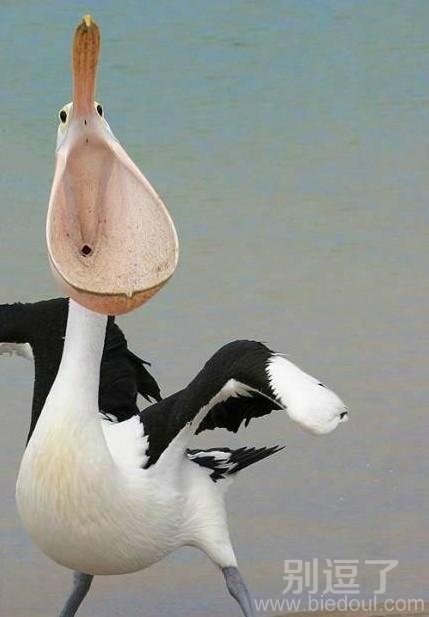 真正的肉便器,不要想歪了哦 真正的肉便器,不要想歪了哦