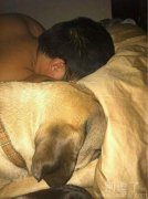 主人和他的狗。。