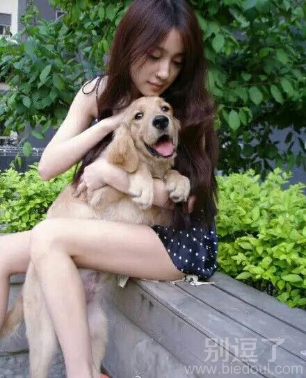 汪星人都不能抵制的诱惑