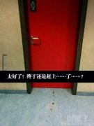 似乎看懂发生了什么