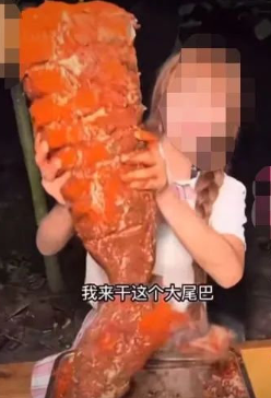 轻松一刻:现在这些网红,不是退网了就是落网了 轻松一刻:现在这些网红,不是退网了就是落网了