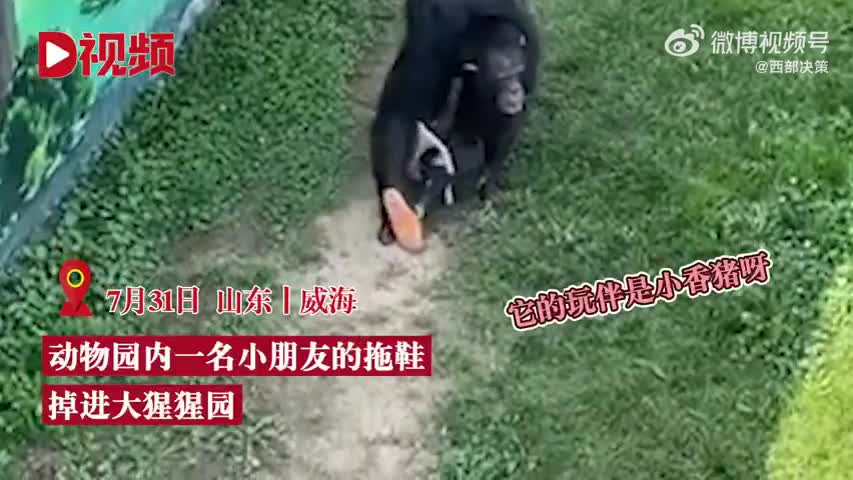 轻松一刻：现在这些网红，不是退网了就是落网了