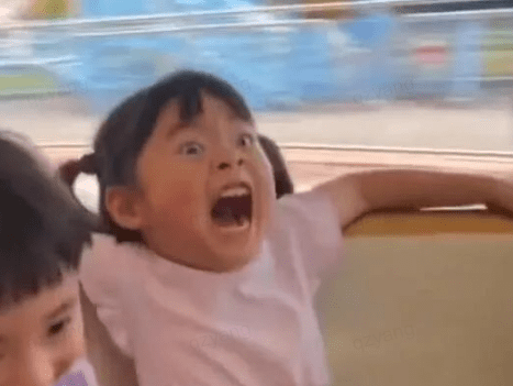 轻松一刻:现在这些网红,不是退网了就是落网了 轻松一刻:现在这些网红,不是退网了就是落网了