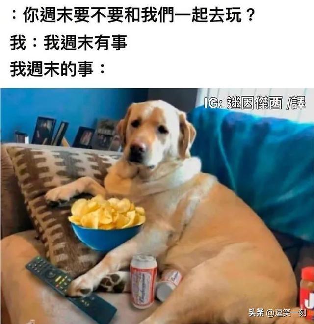 恋爱哪有搞钱香的!哈哈哈对客户和对前任那能是一种态度吗 恋爱哪有搞钱香的!哈哈哈对客户和对前任那能是一种态度吗
