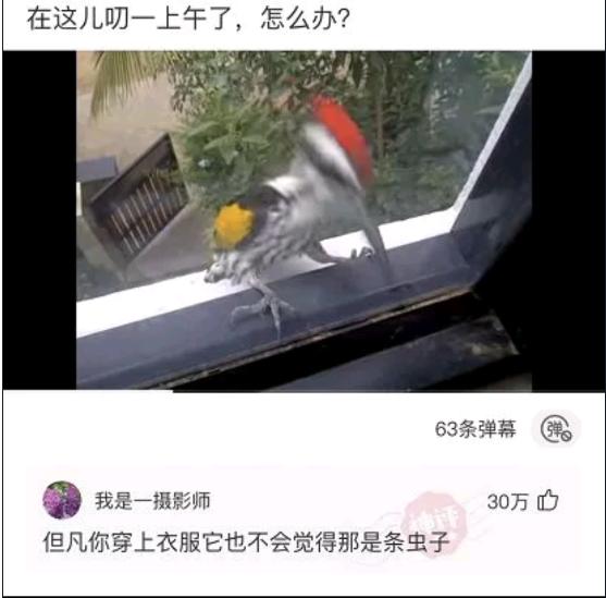 我借女同事的豪车去相亲,看到相亲对象我懵了:是女同事 我借女同事的豪车去相亲,看到相亲对象我懵了:是女同事