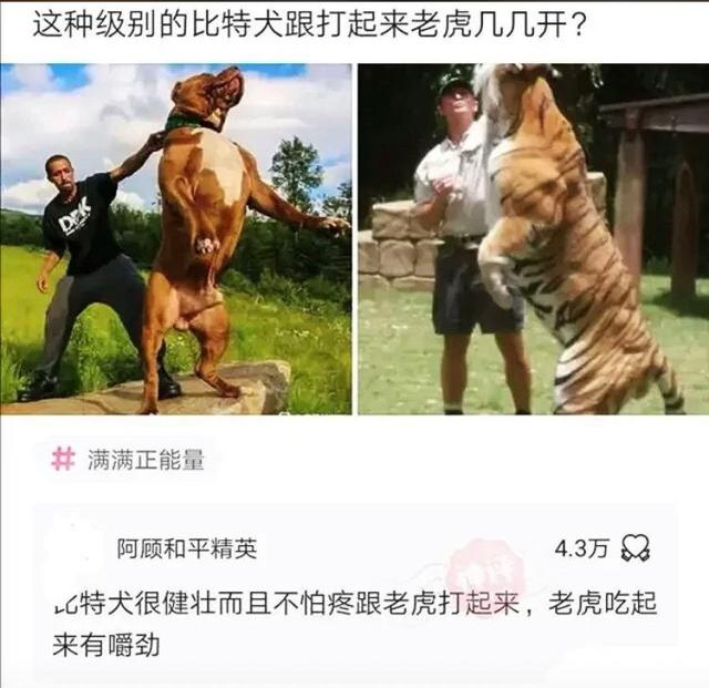 搞笑:又到了判责的时间了,支持严惩头盔男,女士是无辜的 搞笑:又到了判责的时间了,支持严惩头盔男,女士是无辜的