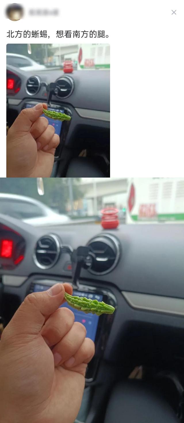 搞笑:又到了判责的时间了,支持严惩头盔男,女士是无辜的 搞笑:又到了判责的时间了,支持严惩头盔男,女士是无辜的