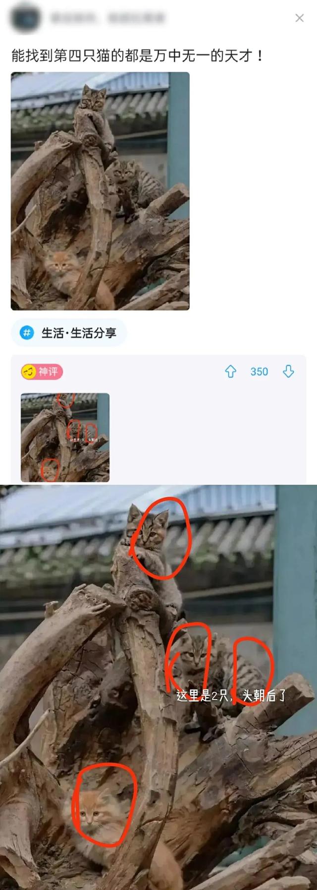搞笑:又到了判责的时间了,支持严惩头盔男,女士是无辜的 搞笑:又到了判责的时间了,支持严惩头盔男,女士是无辜的