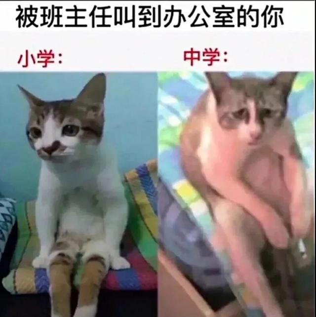 搞笑:又到了判责的时间了,支持严惩头盔男,女士是无辜的 搞笑:又到了判责的时间了,支持严惩头盔男,女士是无辜的