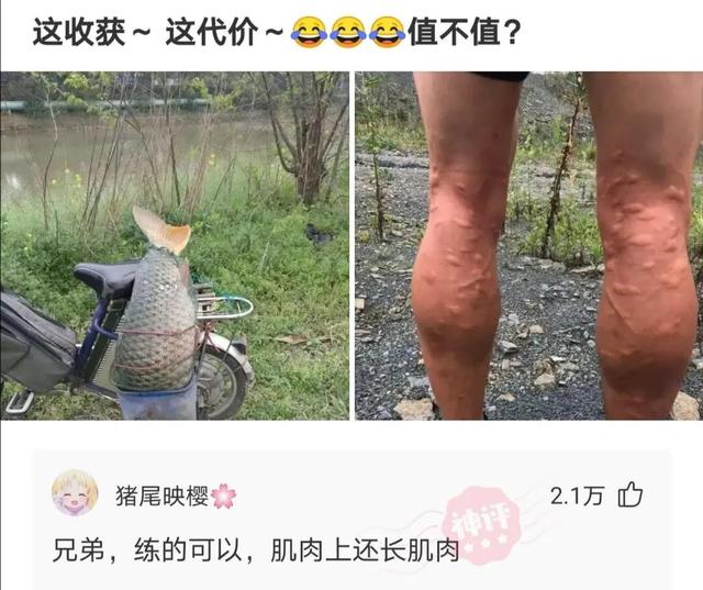 搞笑:又到了判责的时间了,支持严惩头盔男,女士是无辜的 搞笑:又到了判责的时间了,支持严惩头盔男,女士是无辜的