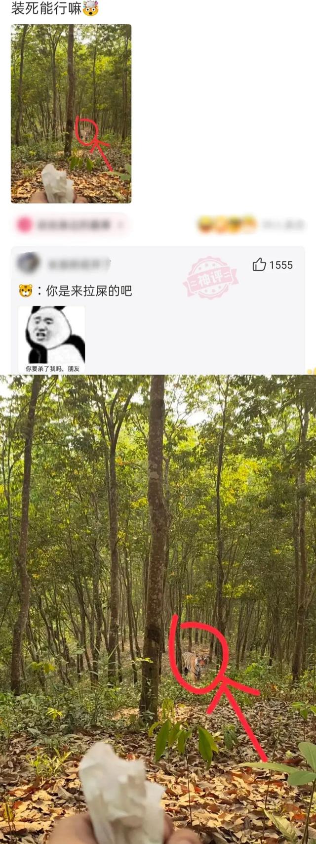 搞笑:又到了判责的时间了,支持严惩头盔男,女士是无辜的 搞笑:又到了判责的时间了,支持严惩头盔男,女士是无辜的