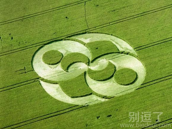 趣图麦田圈高清壁纸