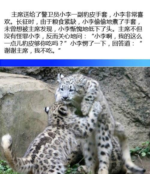 有诚意就端点儿能吃的来吧