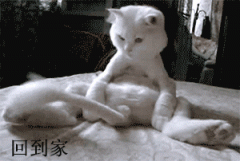 这是有 多无聊呀