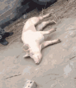 不如跳舞，真的真的不如跳舞