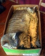 我再说一次 我再说一次