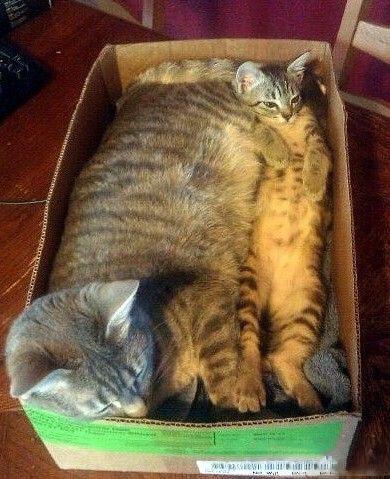 我再说一次 我再说一次