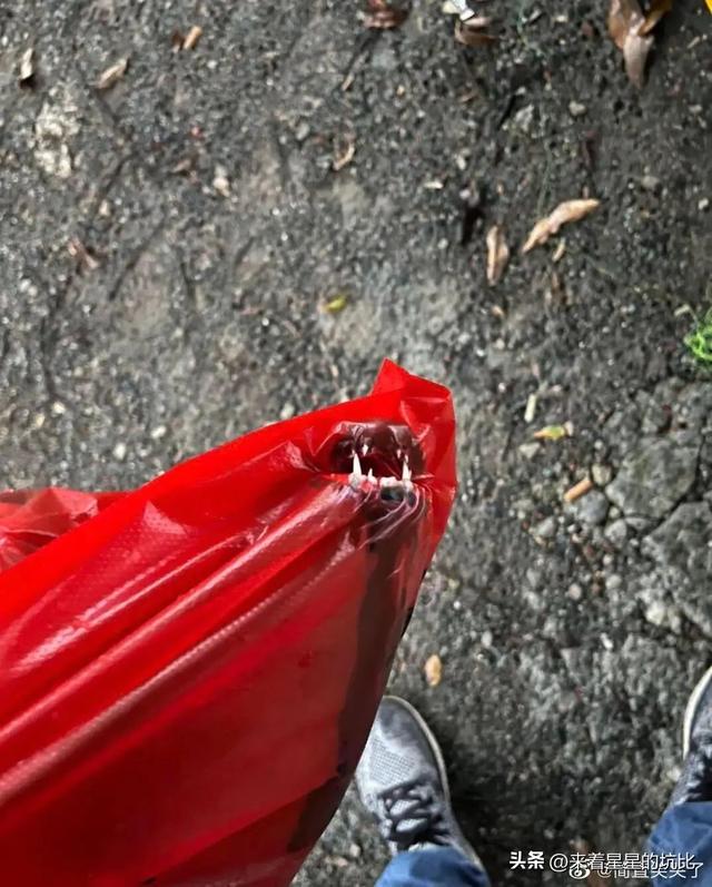 成为一名陪睡师是什么体验?妹子亲身经历仿佛打开了新世界的大门 成为一名陪睡师是什么体验?妹子亲身经历仿佛打开了新世界的大门