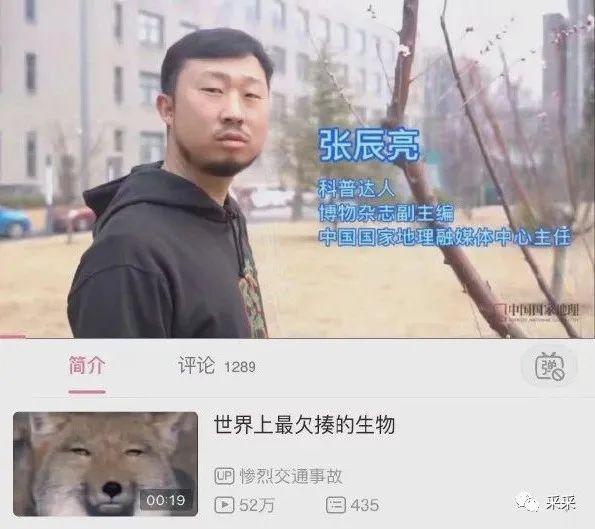 这才是老婆饼应该有的样子啊~ | 搞笑囧图 这才是老婆饼应该有的样子啊~ | 搞笑囧图