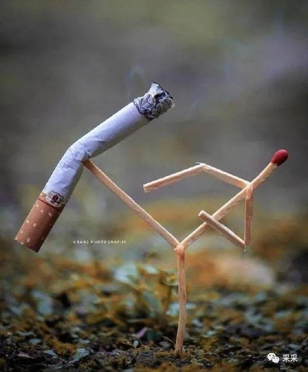 这才是老婆饼应该有的样子啊~ | 搞笑囧图 这才是老婆饼应该有的样子啊~ | 搞笑囧图