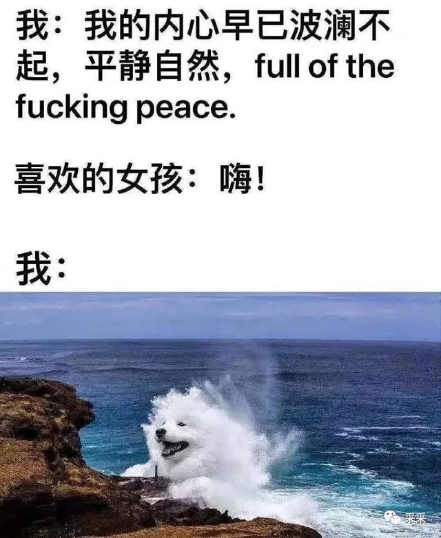 这才是老婆饼应该有的样子啊~ | 搞笑囧图 这才是老婆饼应该有的样子啊~ | 搞笑囧图