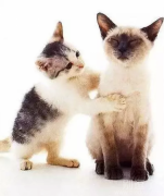 你看，又噎着了吧。。