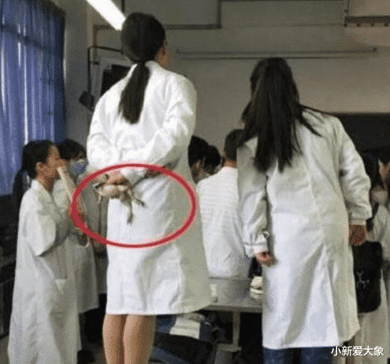 “终于明白为啥不能娶护士回家了,就怕婚后生活诸如此蛙...”哈哈哈 “终于明白为啥不能娶护士回家了,就怕婚后生活诸如此蛙...”哈哈哈