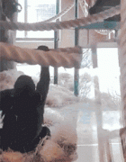 大猩猩旋转跳跃，我闭着眼不敢看！