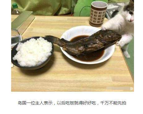 轻松一刻:这是谁家的老公?能不能过户? 轻松一刻:这是谁家的老公?能不能过户?