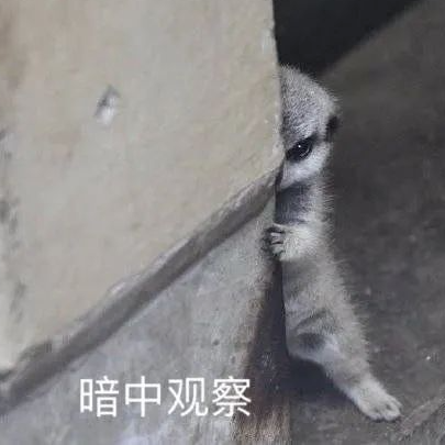 大侠后宫:“不小心目击兄弟女友出轨现场...”哈哈哈哈哈黑色的字越看越绿!! 大侠后宫:“不小心目击兄弟女友出轨现场...”哈哈哈哈哈黑色的字越看越绿!!