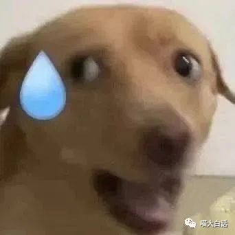 大侠后宫:“不小心目击兄弟女友出轨现场...”哈哈哈哈哈黑色的字越看越绿!! 大侠后宫:“不小心目击兄弟女友出轨现场...”哈哈哈哈哈黑色的字越看越绿!!