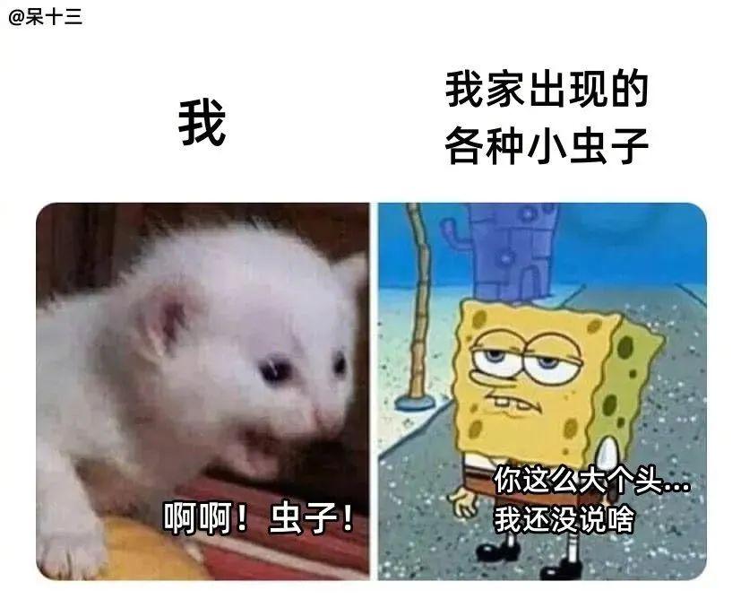 乖乖，七夕礼物想要什么？丨搞笑图