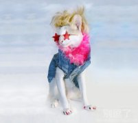 在海边要穿的凉快一点